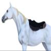 CHALLENGER Horse 32" x 32" Western Contoured Wool Felt Barrel Saddle Pad 39223BK view 2