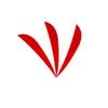 AMEYXGS 50 Pcs 3/4/5 Inch Archery Arrow Fletching Turkey Feather Fletching Right Wing Left Wing Feather Real Arrow Vanes for Hunting Arrow Accessories DIY Archery view 2