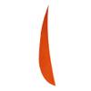AMEYXGS 50 Pcs 3/4/5 Inch Archery Arrow Fletching Turkey Feather Fletching Right Wing Left Wing Feather Real Arrow Vanes for Hunting Arrow Accessories DIY Archery view 4