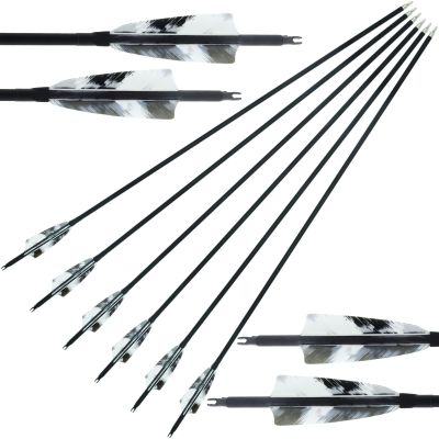 29/30/31Inch Carbon Arrow Archery Spine 500 4" Natural Turkey Feathers Competition Practice Target Shooting Hunting Suitable for Recurve Long Traditional Bow and Compound Bow 6Pcs (29 Inch)