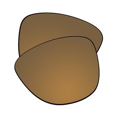 EZReplace Lenses Replacement for Oakley Frogskins OO9013 Sunglasses (AR Polarized Lenses) - Fits Oakley Frogskins Frame (Updated Polycarbonate AR Coated Flash Bronze)