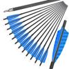 ZSHJGJR 31 Inch Archery Carbon Arrows Spine 500 Hunting Arrows with Removable Tips 4" Camo Feather Fletching Targeting Arrows for Compound & Recurve & Traditional Bow 6/12pcs (Light Blue, 12) view 1