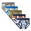 Family Feeling Boys' Cotton 5-Pack Brief Underwear Size 4T/5T view 1