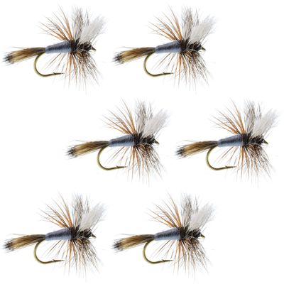 The Fly Fishing Place Adams Wulff Classic Trout Dry Fly Fishing Flies - Set of 6 Flies Size 12