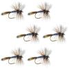 The Fly Fishing Place Adams Wulff Classic Trout Dry Fly Fishing Flies - Set of 6 Flies Size 12 view 1