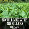 Domain Outdoor No BS Deer Food Plot Seed for Deer, Forage Oats, Clover, Forage Rape, Chicory, Radish, Finally a No Till Mix with Zero Fillers, No Heavy Equipment Required, 1/4 Acre view 2