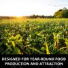 Domain Outdoor Comeback Kid Food Plot Seeds for Deer, Special Varieties of Clover & Alfalfa, Great to Plant in Spring, High Protein Forage, Year-Round Attraction, Lasts up to 5 Years, 1/2 Acre view 2