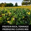 Domain Outdoor Comeback Kid Food Plot Seeds for Deer, Special Varieties of Clover & Alfalfa, Great to Plant in Spring, High Protein Forage, Year-Round Attraction, Lasts up to 5 Years, 1/2 Acre view 3