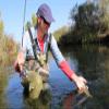 The Fly Fishing Place Adams Wulff Classic Trout Dry Fly Fishing Flies - Set of 6 Flies Size 14 view 4