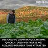 Domain Outdoor Bombshell Food Plot Seed for Deer, 1/2 Acre, Designed to Handle The Toughest Conditions, Quick Establishment - Ethiopian Cabbage, Forage Collards, Hybrid Forage Brassica, Forage Turnip view 2