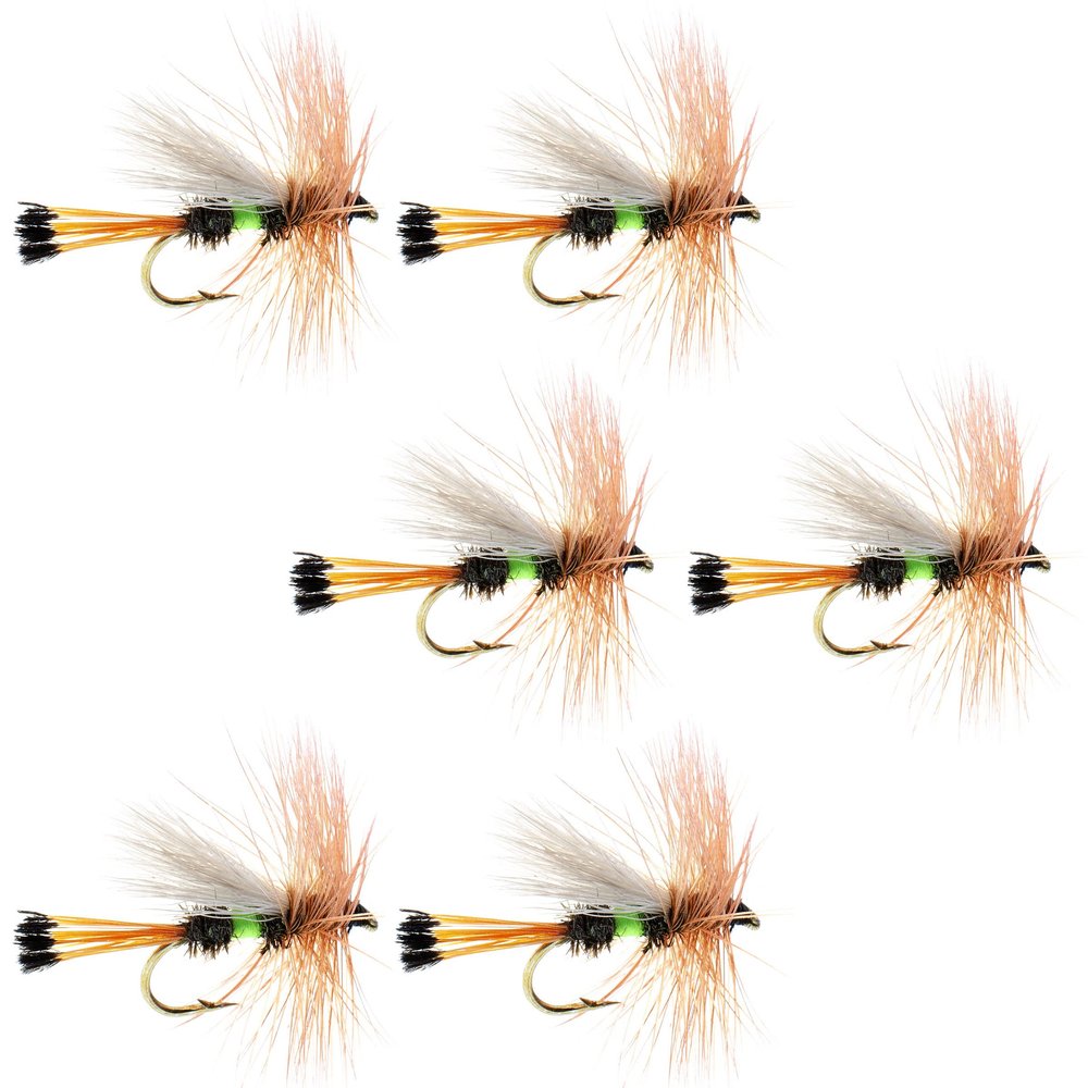 The Fly Fishing Place Lime Royal Trude Classic Trout Dry Fly Fishing Flies - Set of 6 Flies Size 12