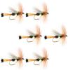 The Fly Fishing Place Lime Royal Trude Classic Trout Dry Fly Fishing Flies - Set of 6 Flies Size 12 view 1