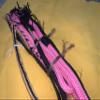 EPT Bull Ropes Pink & Black Poly Pro 9x7 RH 3/4" x 3/4" Bull Riding Rodeo Rider 16" view 3