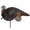 Primos Hunting Lil Gobstopper Jake Turkey Decoy Light-Weight Hunting Decoy 69074, Multi view 1