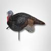 Primos Hunting Lil Gobstopper Jake Turkey Decoy Light-Weight Hunting Decoy 69074, Multi view 2