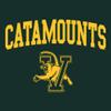 UGP Campus Apparel AW03 - Vermont Catamounts Arch Logo Crewneck Sweatshirt - 3X-Large - Forest view 2