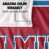 Loyola Marymount University Lions Blanket, 36"x58" Primary Logo Stripes, Silky Touch Super Soft Throw view 4