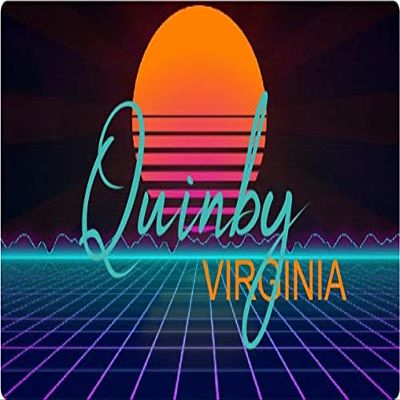 Quinby Virginia 2 X 1.25-Inch Vinyl Decal Stiker Retro Neon Design