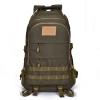 Lfzhjzc Tactical Backpack, Assault Pack, Military Tactical Army Backpack, Large-Capacity Mountaineering Bag, Unisex (Color : Army Green, Size : 25L) view 1