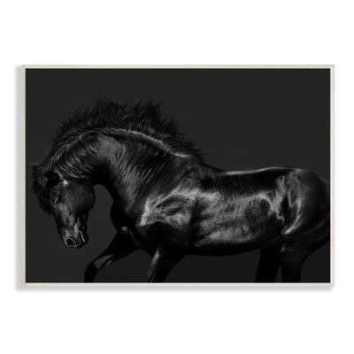 Stupell Industries Modern Black Horse Photography Wild Stallion Monochromatic, Design by Samantha Carter