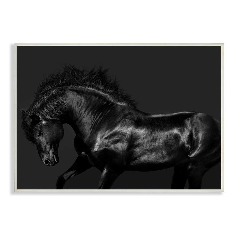 Stupell Industries Modern Black Horse Photography Wild Stallion Monochromatic, Design by Samantha Carter