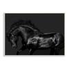 Stupell Industries Modern Black Horse Photography Wild Stallion Monochromatic, Design by Samantha Carter