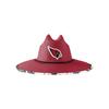 Arizona Cardinals NFL Team Color Straw Hat view 2