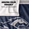 Longwood University Lancers Blanket, 36"x58" Primary Logo Stripes, Silky Touch Super Soft Throw view 4