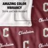 College of Charleston Cougars Blanket, 36"x58" Logo Pattern, Silky Touch Super Soft Throw view 4