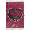 State University of New York at Potsdam Bears Blanket, 36"x58" Logo Dots, Silky Touch Super Soft Throw view 2