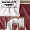 College of Charleston Cougars Blanket, 36"x58" Primary Logo Stripes, Silky Touch Super Soft Throw view 4