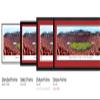 2022 Rose Bowl Game, Utah vs Ohio State - 42x15.5-inch Single Mat, Select Framed Picture by Blakeway Panoramas view 2