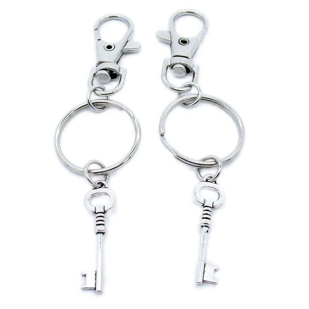 10 Pieces Keyring Keychain Wholesale Suppliers Jewelry Lobster Clasps RY3N2O Fake Skeleton Key