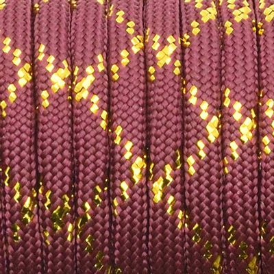 1pcs New Gold Silver Cord 550 Paracord Parachute Cord Lanyard Mil Spec Type III 7 Strand Core 100 FT (PFJ-16)