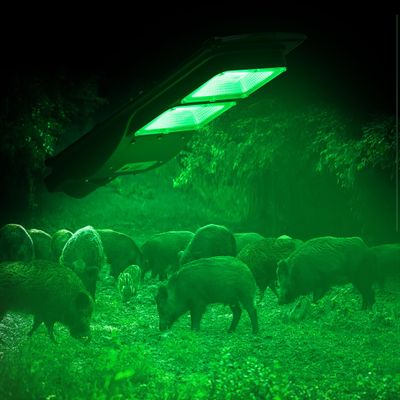 Hog Light, Solar Green Lights for Hunting Deer Hog Pig Activated Feeder Accessories Night Reaction Motion Lamp Eq300W Trapping Kit Wildlife Outdoor Cordless Lighting with Remote