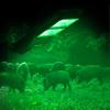 Hog Light, Solar Green Lights for Hunting Deer Hog Pig Activated Feeder Accessories Night Reaction Motion Lamp Eq300W Trapping Kit Wildlife Outdoor Cordless Lighting with Remote view 1