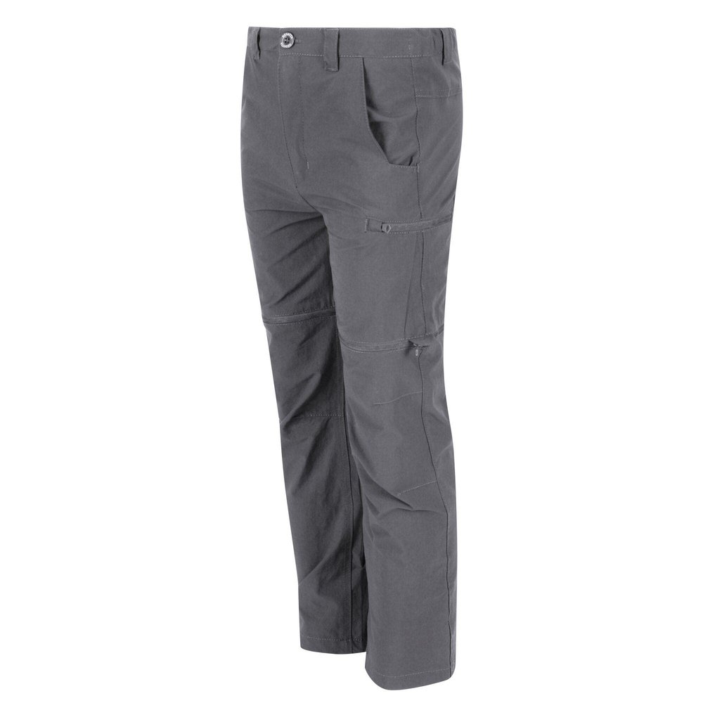 Regatta Childrens/Kids Highton Stretch Zip-Off Walking Pants (14 Years) (Seal Grey)