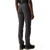 Regatta Childrens/Kids Highton Stretch Zip-Off Walking Pants (9-10 Years) (Seal Grey) view 2