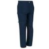 Regatta Childrens/Kids Highton Stretch Zip-Off Walking Pants (11-12 Years) (Seal Grey) view 3