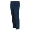 Regatta Childrens/Kids Highton Stretch Zip-Off Walking Pants (11-12 Years) (Seal Grey) view 4