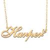 A168A Harper Custom Name Necklace Customized Personalized Plated Name Necklace for Mother Daughter Christmas New Year Gold view 1
