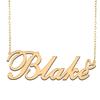 A168A Blake Custom Name Necklace Customized Personalized Plated Name Necklace for Mother Daughter Christmas New Year Gold view 1