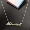 A168A Desiree Custom Name Necklace Customized Personalized Plated Name Necklace for Mother Daughter Christmas New Year Silver view 3