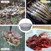 WEISGJA Portable Folded Fishing Net, Crab Net Fish Net with Fishing Rope, Hand Casting Cage Crab Net, Foldable Fishing Mesh Trap for Minnows,Lobster,Crawfish,Shrimp etc. (31.5inch/80cm) view 3