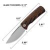 Petrified fish PFP01X Beluga,2.99" 14C28N Sand blasting Blade,95.6g G10 Hande Front Flipper Liner lock Folding knife (Orange Gmascus, Sand blasting) view 3