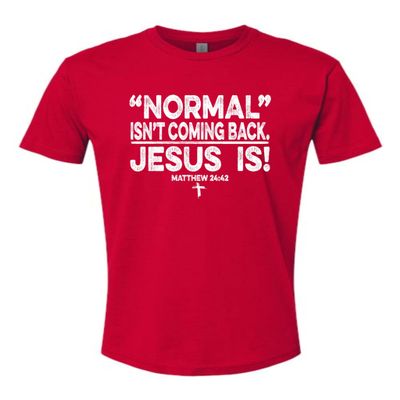 3X-Large Red Mens Normal Isn't Coming Back Jesus is Christian Deluxe Soft T-Shirt