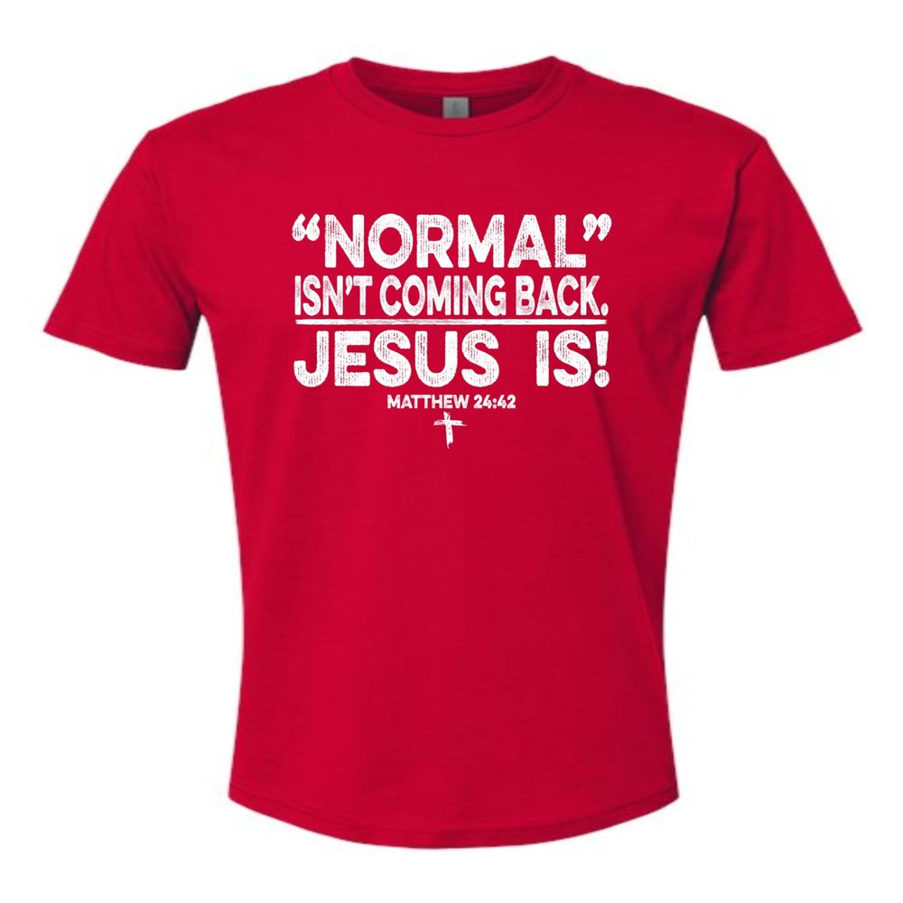3X-Large Red Mens Normal Isn't Coming Back Jesus is Christian Deluxe Soft T-Shirt