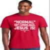 3X-Large Red Mens Normal Isn't Coming Back Jesus is Christian Deluxe Soft T-Shirt view 2