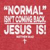 3X-Large Red Mens Normal Isn't Coming Back Jesus is Christian Deluxe Soft T-Shirt view 3