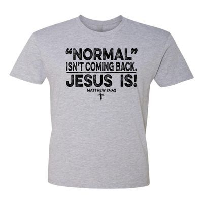 3X-Large Dark Heather Gray Mens Normal Isn't Coming Back Jesus is Christian Deluxe Soft T-Shirt